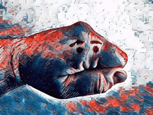 Item #9464120080039532145380054527692074976571905664352398512971211576855884726273 Media