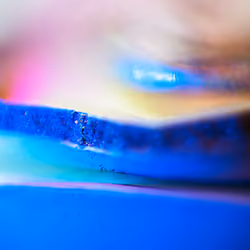 the pool of focus: super shallow!