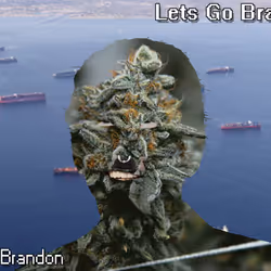 21688527815507990779780435242269546376679550267989735943769102849059990798337