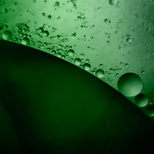 Item #75595575961320176908689771743552415637707284218923530060333789899172670865409 Media