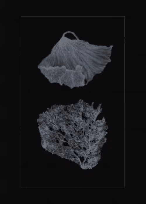 Item #67553364102704910052786438722982539447022718177836165747965600818752047284225 Media