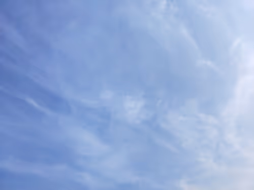 Item #51242197866213578522358095543323485315570332094438075626558359891734320644097 Media