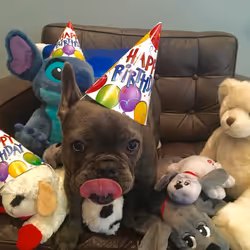 99031261785432219130552668818269695456905868997165113515571762394018021900289