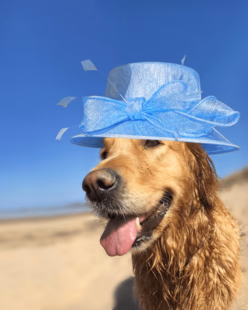 Item #26839399415497039076862880694069072006331525189107682525417321800577761411073 Media