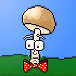 33741781216748986518517832568595493503429706584982134247768926182234583465985