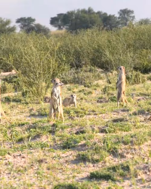 Item #114889871137144360899961509634196120936004573759111492612548624816336105635850 Media