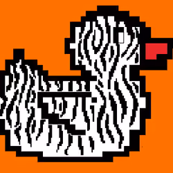 Zebra Quack