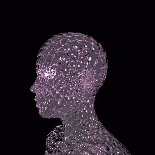 Item #56022459443435995928433482116732821206628094290860888631983320068136208695297 Media