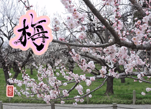 Item #102967229630208760737688806604411354727385978550035448281008295672946456788993 Media