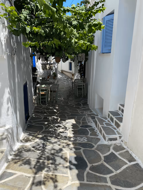 Item #114866657285941036373376586568515224468822625731275208721530443103841686650882 Media