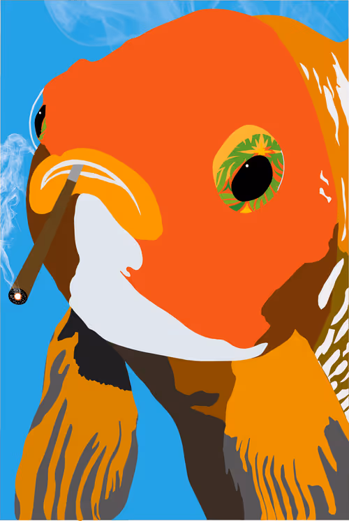 Item #46679994496108624530020148644785155104419172278486625888968681009201931091969 Media