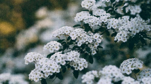 Item #75866091947728652238534111254584504918190435733442380629681527368043116625921 Media