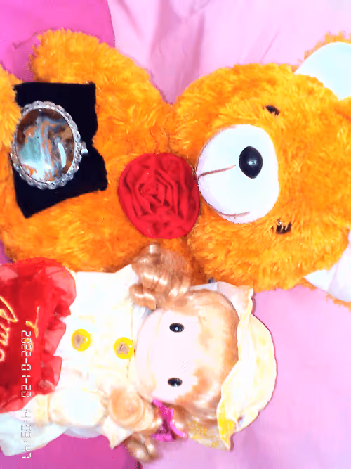 Item #85454646338485558443310351473087865046611338664231792713887202113690003308549 Media