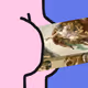 48653799100012318570770790256965808514654415327640072251789586073665593671681