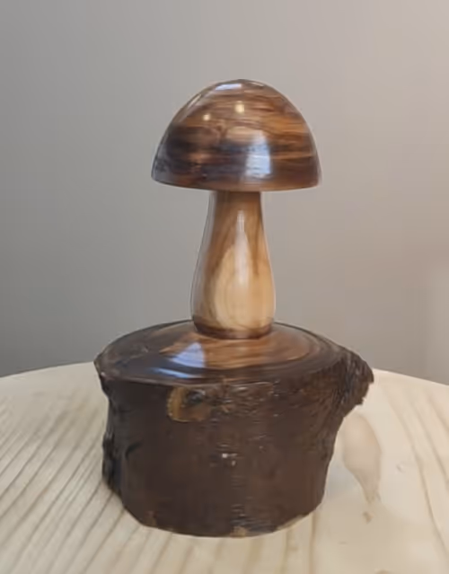 Item #42591448628387589718515734944531957498422302701531104305965944565768717860865 Media