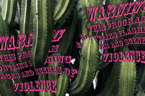 Item #68956660455802920949406474332140117379218782181167192068464389516915397099521 Media