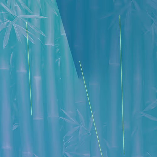 70929269914002233214721006976994020300964355006950009368688202636432542531589