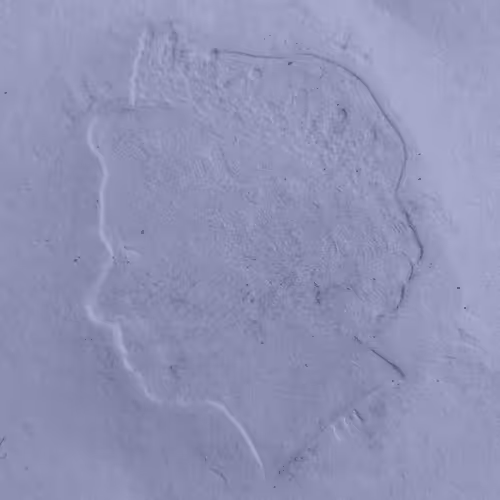 Item #83801571043678567191740746639238578223349208525450711112959315967272053374977 Media