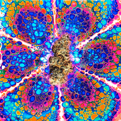 13955282856406335165414100891374623718709547313428947888299034048415787909620