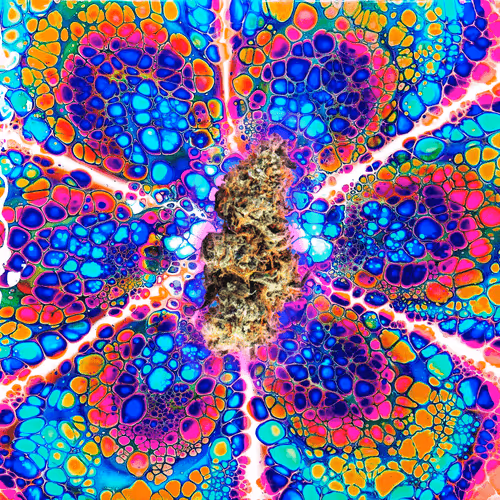 Item #13955282856406335165414100891374623718709547313428947888299034048415787909620 Media