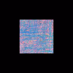 21799379287257960107481022016823604535840919647524583076676203218446130872321