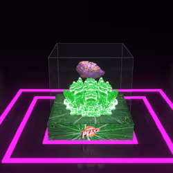 30416664768498730083160680636723480070814186252642691524355121122170009288705