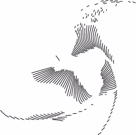 Item #101281412615480963839000332591888888405073117740278103702244148758053140824074 Media