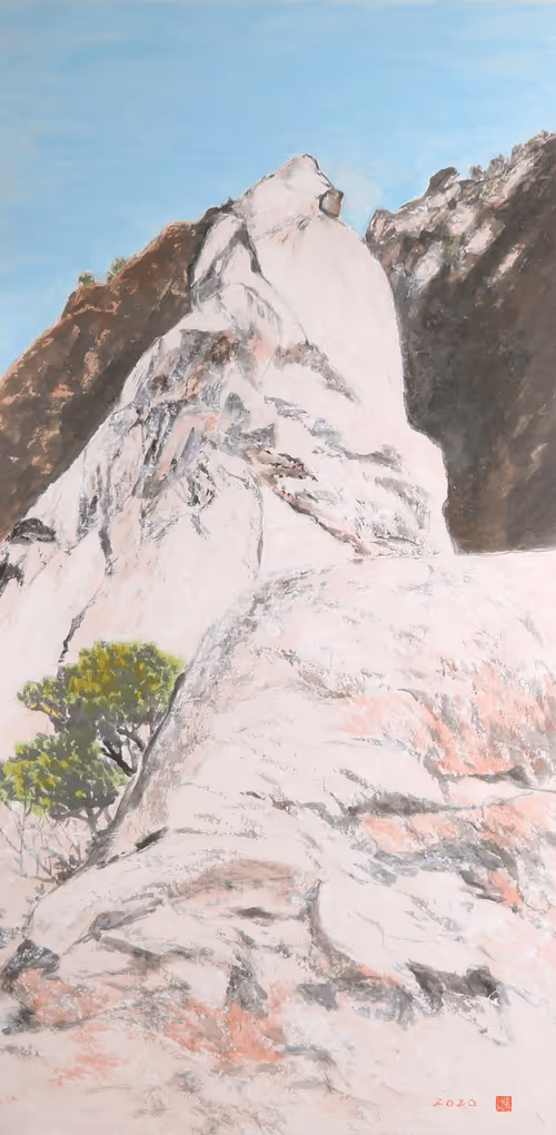 Item #5806560429028510016927636303875382551208880304073644506271374113798898057217 Media