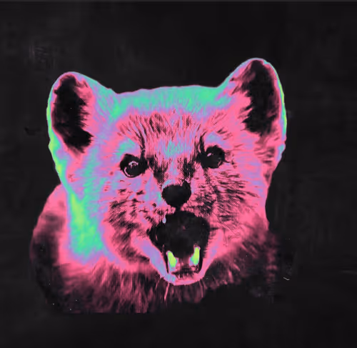 Item #64849469388568567391882735248017375202922545580058110511068989708647444512778 Media