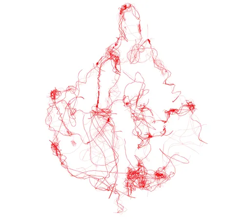 Item #61325321852403075905478544962925694605424995420085629148883383663227970781204 Media