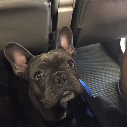 99031261785432219130552668818269695456905868997165113515571762411610207944705