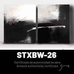 Certificado de Autenticidad STXBW-26 / STXBW-26 Certificate of Authenticity