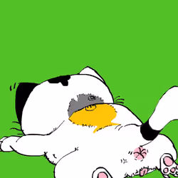 Cat #1