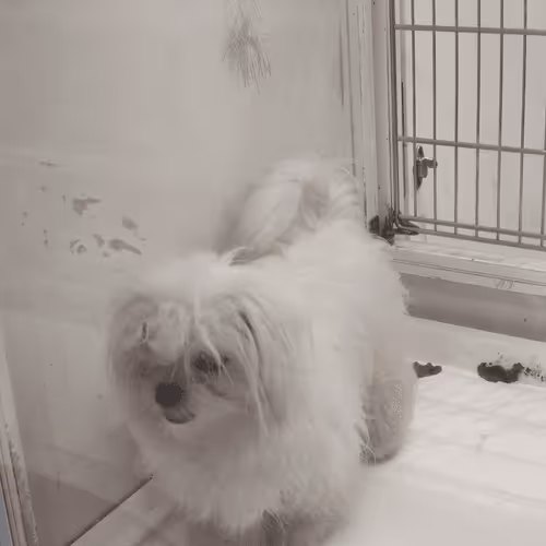 Untitled Collection #82387690