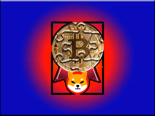 shiba inu #777