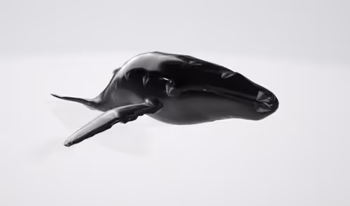 Item #2838413324545898833840226818703974284708354109623229509421485871470529740801 Media