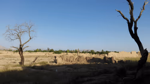 Item #71783453458607510737296471841867983382980629409983277105935523588120132976641 Media