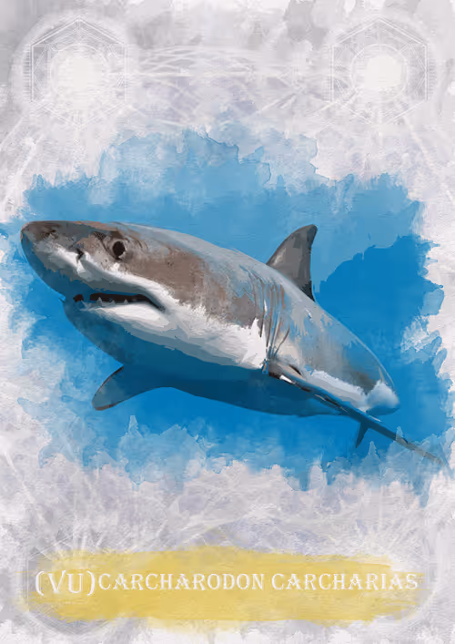 Item #108829080069432666427413762901192148077907568328307962474054884598032407461895 Media