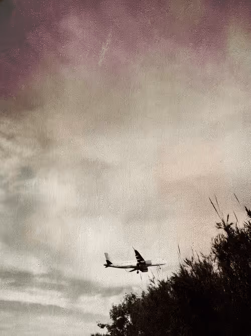 Item #36816001644917254617906175698674191035781868216999975889902342372848054566913 Media