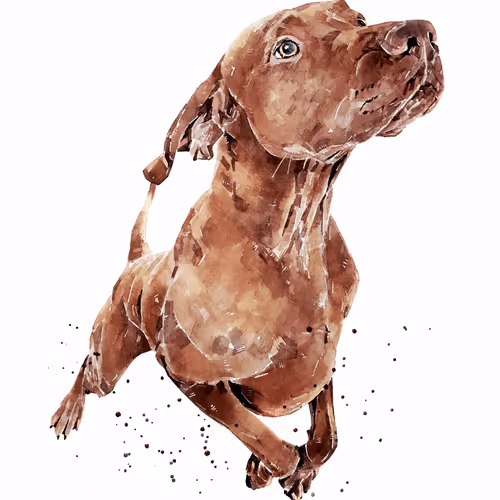 Item #15308155937593783866228062712704217529335676444312394672786838619423391088645 Media