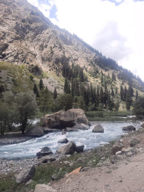 Item #67858561877883932132656813683247236087169244122928235692899302780312714477569 Media