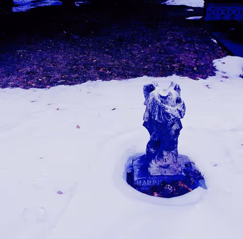 Item #65153916298700067522083748554750574777242795921079823153433125658465434337281 Media