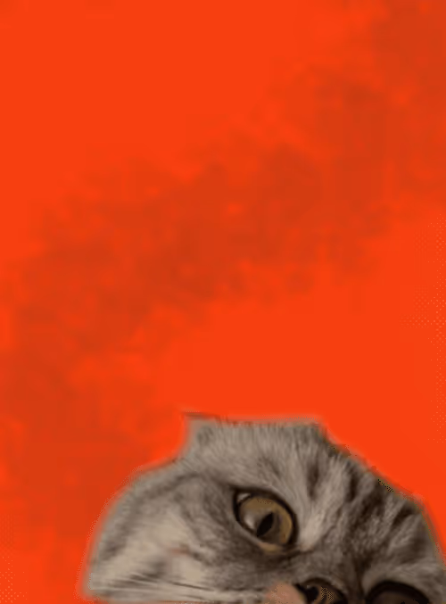 Item #21243418758315033106080274474295734222890800110110933604715555334337616412673 Media