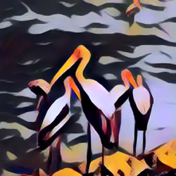 Painted Stork #8