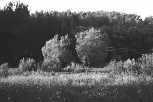 Item #34811634924862855090105769671786307071201187759740501250683185481532263366657 Media