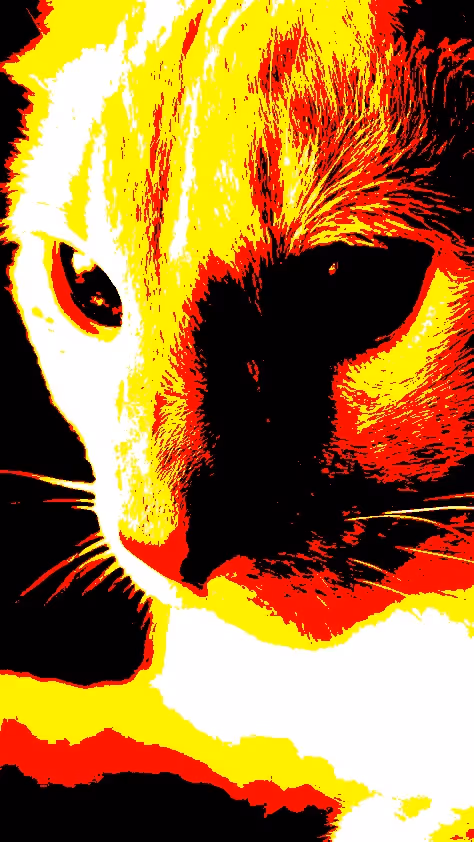 Item #23538819986925566434507765811444276093104658907602947149672917170084602970113 Media