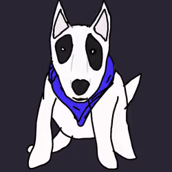 dog Bull#10