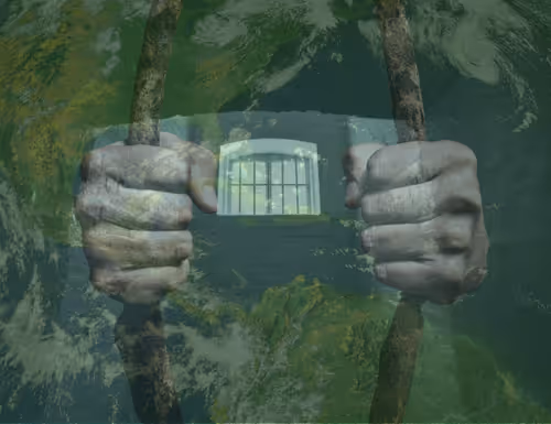 Item #42165497215799268651933513800091680414625417379712449060150830878982796214273 Media