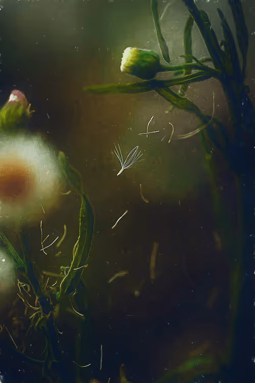 Item #110843191158220311663408589832334873758913224296124318855589226646132754481155 Media