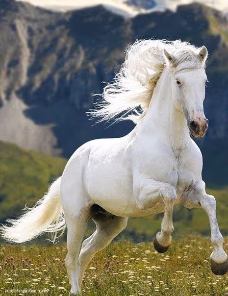 Item #2468119463308914702005443652102614178506533567319377457804557028460221956097 Media